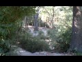 Disc Golf A Tutorial Engage!