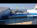 Video Севастопольские дельфины