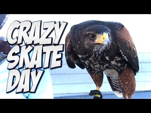 CRAZY SKATE DAY WITH IDOLS & MUCH MORE !!! - NKA VIDS -