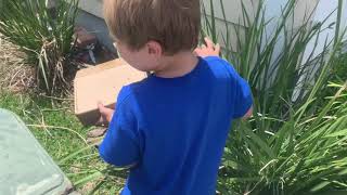 Ari Catches Another Huge Snake with His Bare Hands