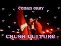 Conan Gray Crush Culture (LIVE) New York City Mercury Lounge: 112018 Conan Gray Crush Culture (LIVE) New York City Mercury Lounge: 112018