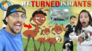 FUNnel Family turns into ANTS (FV Vlog Vision)