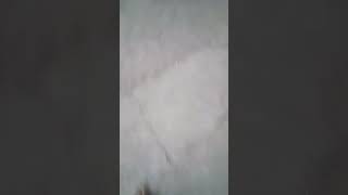Red Light Area Patna Junction Ka Viral Video