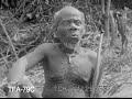 pygmy