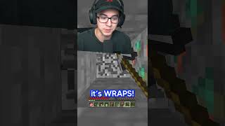 Minecraft, But Its One Chunk...