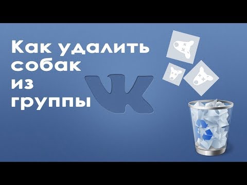 Как почистить группу ВК от собачек Как почистить группу ВК от собачек