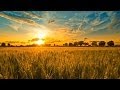 TERRE E TRADIZIONI - La Migliore Italia in Tavola