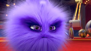 Sunny Bunnies | The Fluffiest Bunny | SUNNY BUNNIES COMPILATION | Cartoons for Children