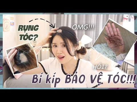 BẠN CÓ BỊ RỤNG TÓC NHIỀU K?😭TIẾT LỘ TẤT CẢ CÁC BÍ KÍP BẢO VỆ MÁI TÓC QUÝ GIÁ CỦA CÁC BẠN!