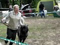 питомник на двух выставках. Лучший 