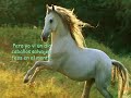 caballos salvajes