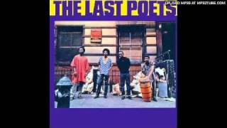 Watch Last Poets Just Because video