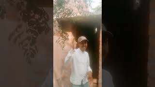 সনগছ নম মন গছর লক আমক চনল নয
