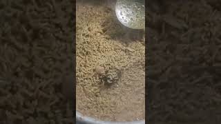 நய சரககவம....