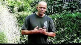 Systema : Sonny Puzikas in Paris