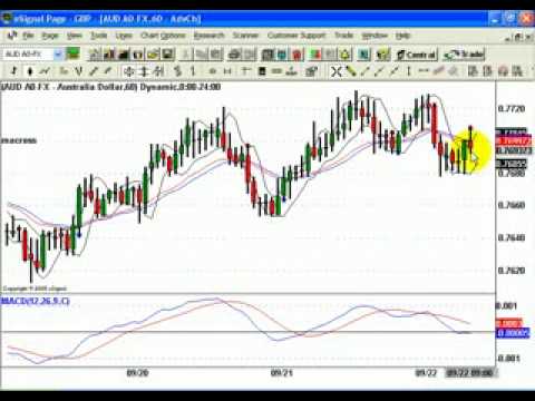Forex wiki pl