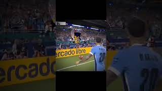 P_TEaFLvd94 Video Image