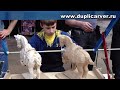 мая 2012 года в Москве