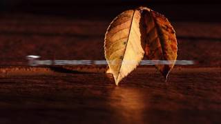 Tears Of September