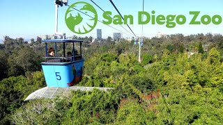 Pov San Diego Zoo Skyfari Aerial Tram