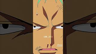 Zoro Se Preocupa Por Luffy.