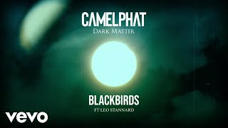 Watch Camelphat Blackbirds feat Leo Stannard video