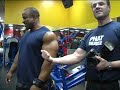 IFBB
