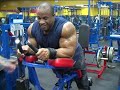 IFBB
