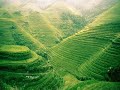 Longsheng terrazas de arroz en China..wmv