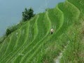 Longsheng terrazas de arroz en China..wmv