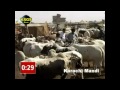 Karachi Shorab Goth Studio News Channel Cow Cattle Mandi 2012 images Karachi Shorab Goth Studio News Channel Cow Cattle Mandi 2012