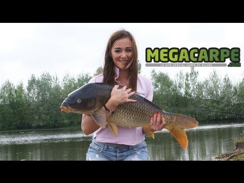 Отцеп для воблеров и блесен видео Отцеп для воблеров и блесен видео