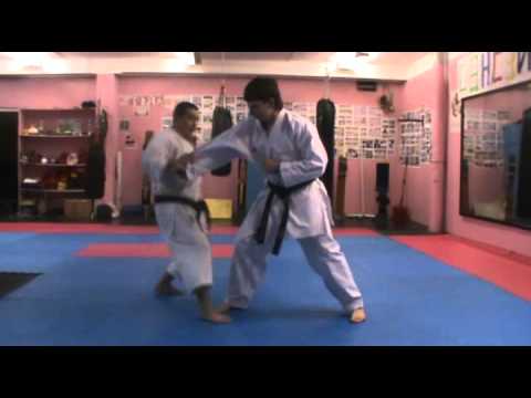 Hayashi-ha Shito-ryu Karate Training Camp 09-1