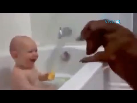 Những chú chó thích đùa nhất thế giới =)) Cực đáng yêu
