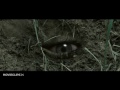 View The Burrowers (2008)