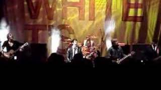 Watch Plain White T