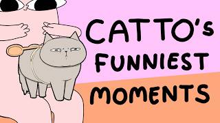 Cattos Best Moments Ketnipz Compilation
