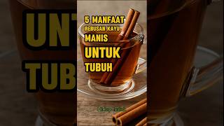 5 Manfaat Rebusan Kayu Manis Untuk Tubuh