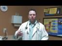Dog care: Getting rid of fleas Dog care: Getting rid of fleas