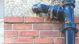 Do you have Water Damage in Fort Lauderdale? | Triumph Consulting Corp.