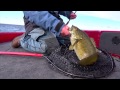 Utilizing Blade Baits in Lakes for Bass and Walleye -- "In-Depth Outdoors" TV 2013