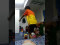 Geng 13 images Geng 13