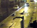 Chat (bird)