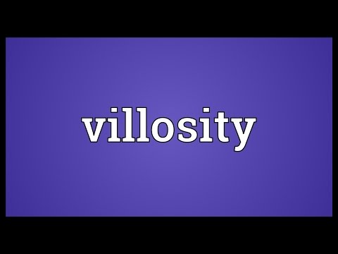 Header of villosity
