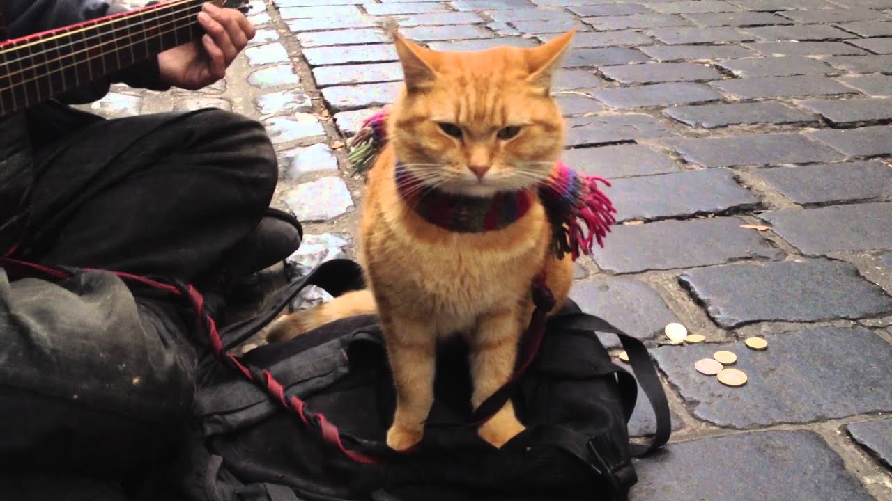 A Street Cat Named Bob (Video A Street Cat Named Bob)