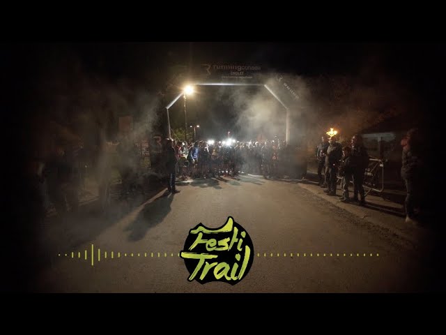Toutes les vidéos