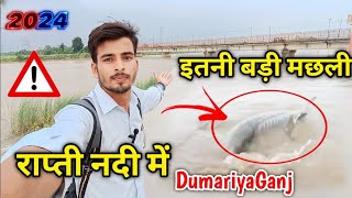 Rapti Nadi Me Aayi Badi Machhli 2024 डमरयगज रपत नद म आय बढ