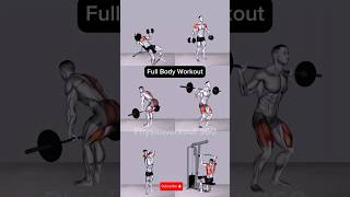Full Body Workout