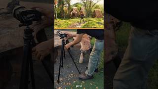 Tripod Murah Berkualitas, Recomended Banget
