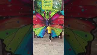Erfly